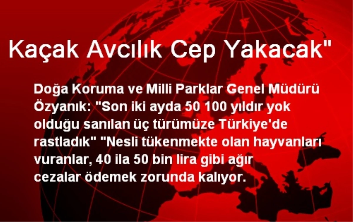 Kaçak Avcılık Cep Yakacak"