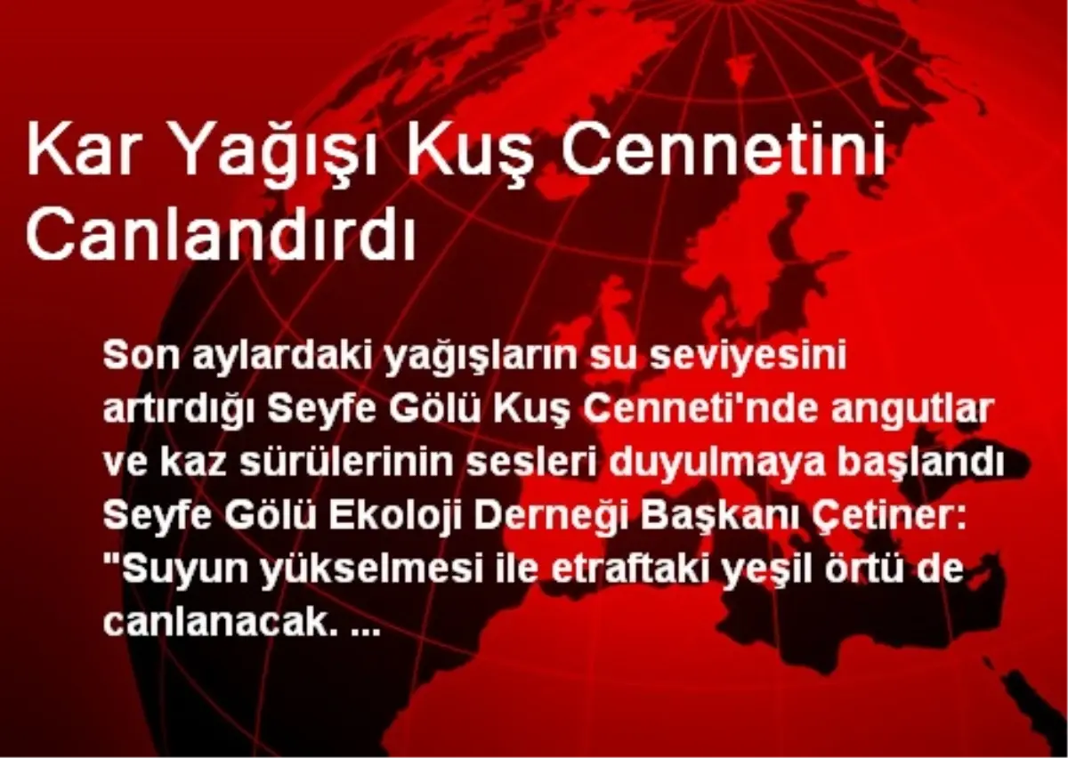 Kar Yağışı Kuş Cennetini Canlandırdı