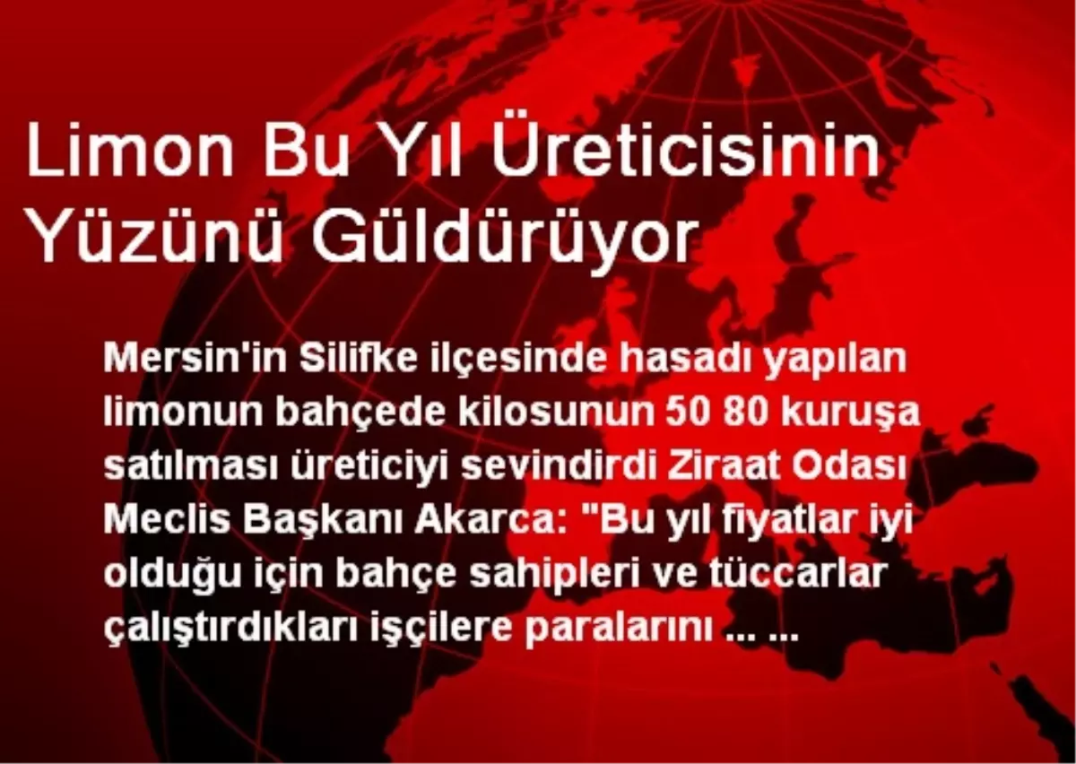 Limon Bu Yıl Üreticisinin Yüzünü Güldürüyor