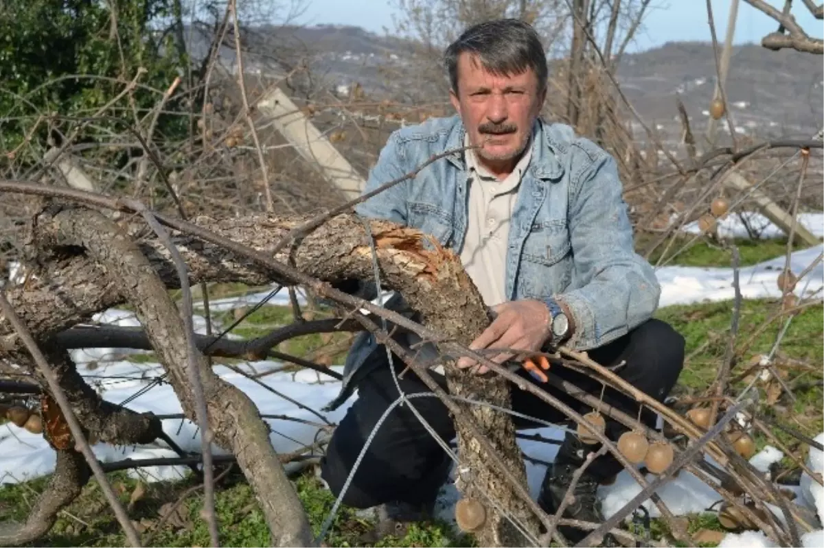 Kar Eriyince Hasar Ortaya Çıktı