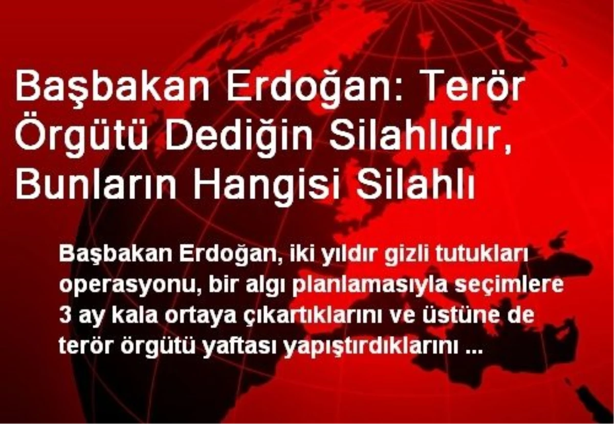 Başbakan Erdoğan: Terör Örgütü Dediğin Silahlıdır, Bunların Hangisi Silahlı