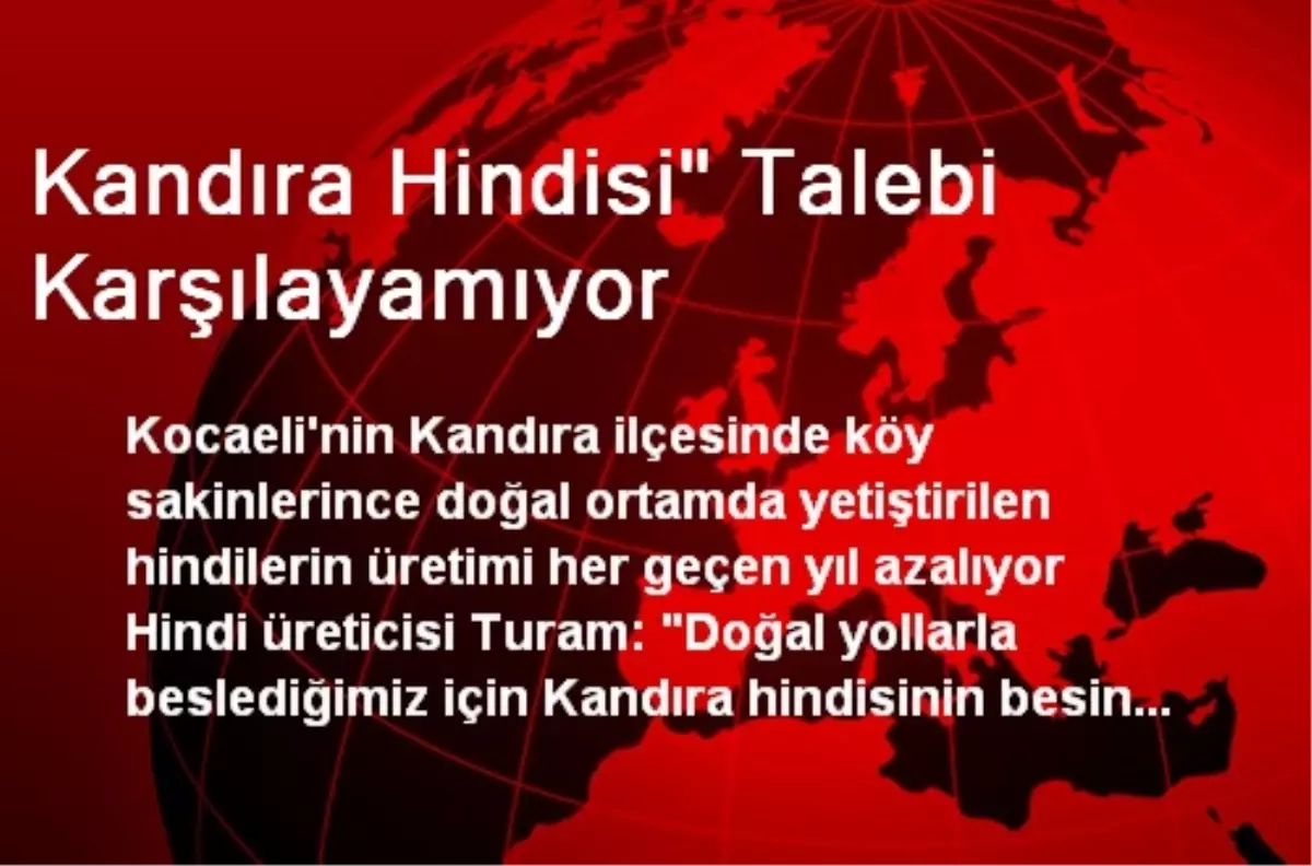 Kandıra Hindisi Talebi Karşılayamıyor