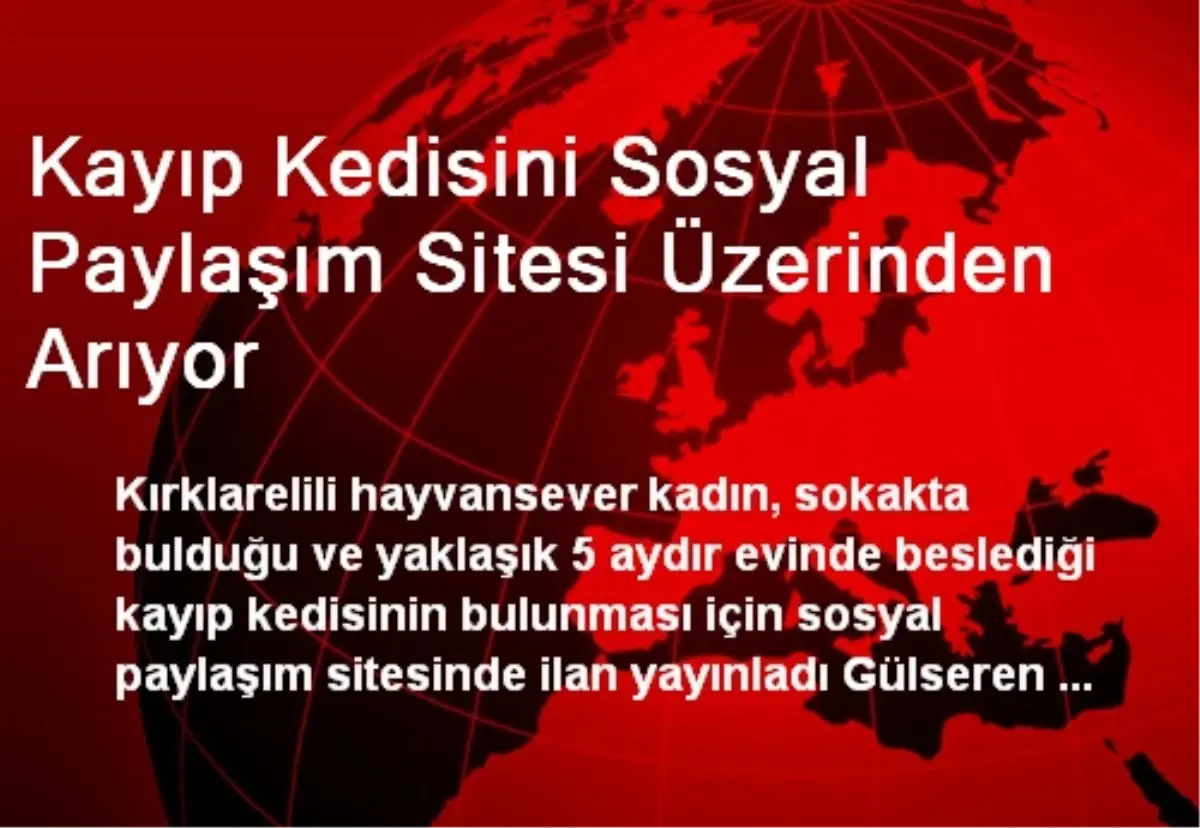 Kayıp Kedisini Sosyal Paylaşım Sitesi Üzerinden Arıyor