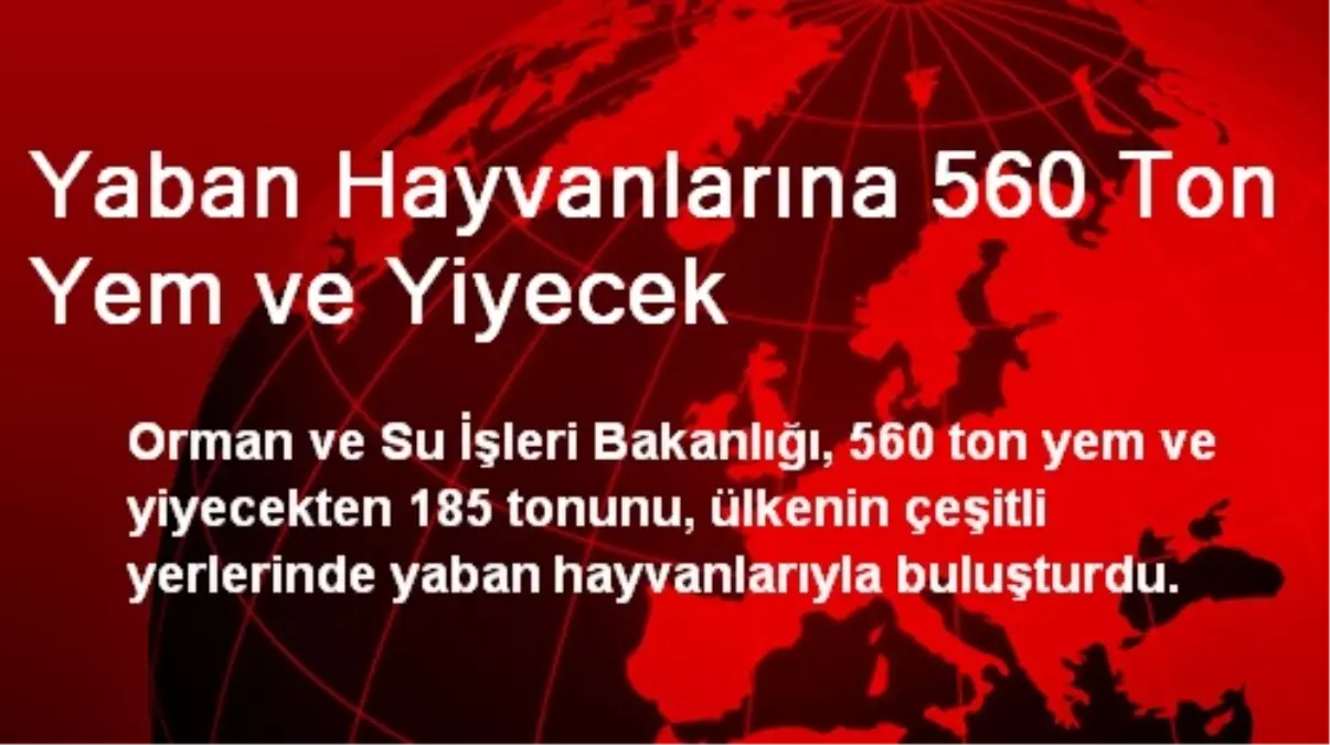 Yaban Hayvanlarına 560 Ton Yem ve Yiyecek