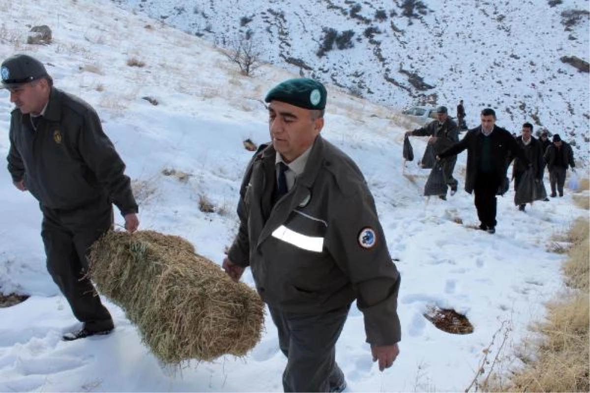 Soğuk Kış Günlerinde Yaban Hayvanları Unutulmadı