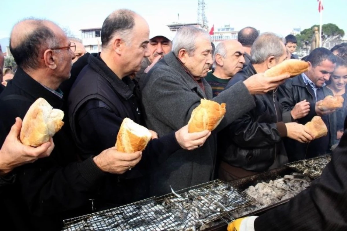 Bedava Hamsi Kapışıldı