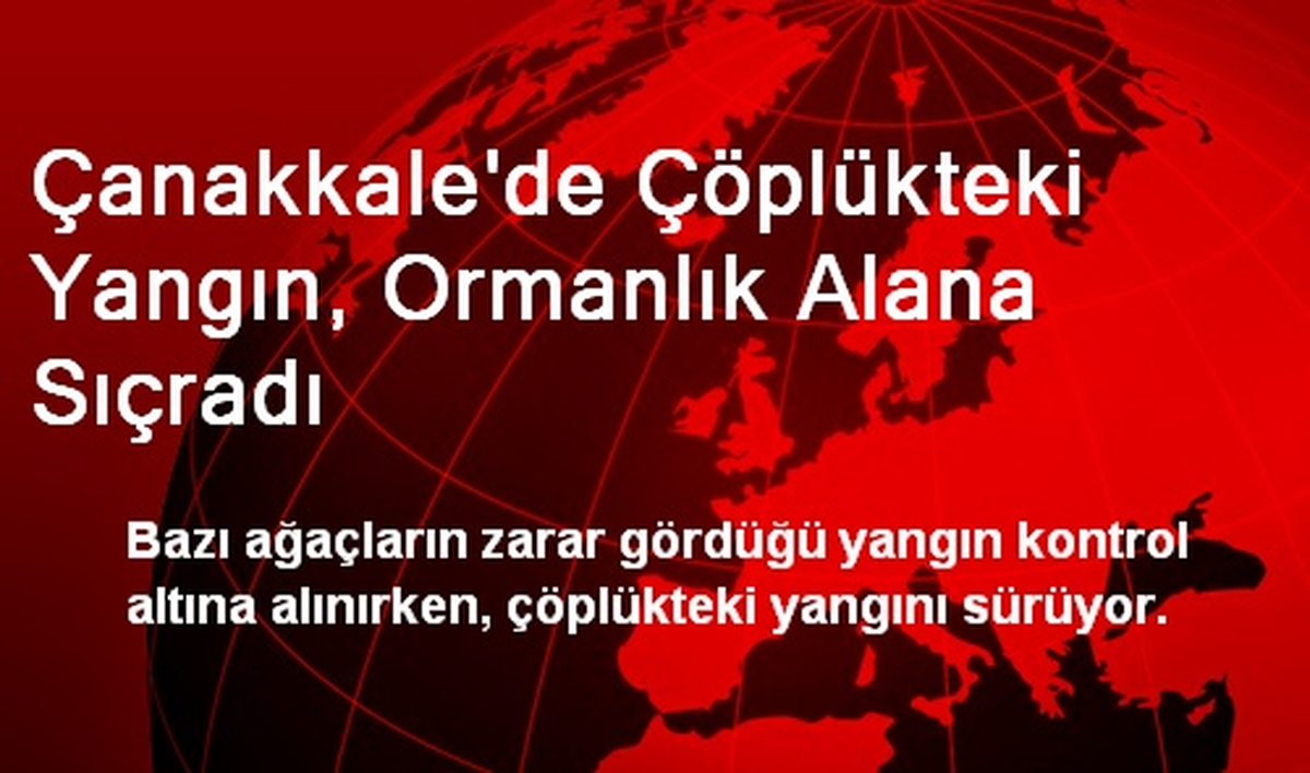 Çanakkale\'de Çöplükteki Yangın, Ormanlık Alana Sıçradı
