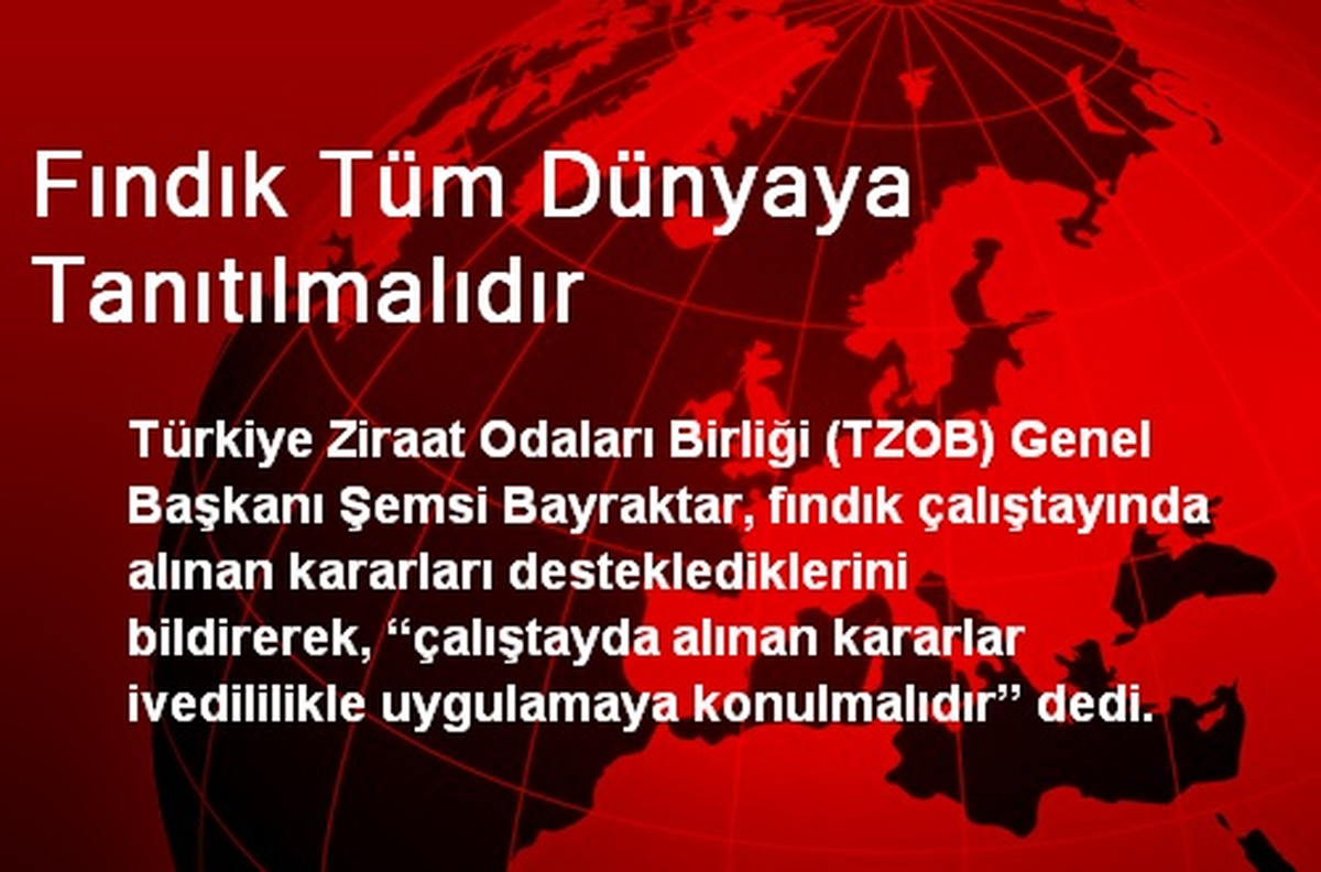 Fındık Tüm Dünyaya Tanıtılmalıdır