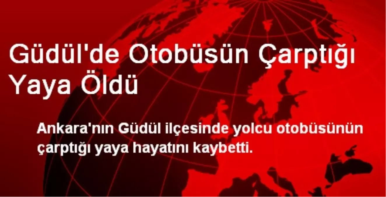 Güdül\'de Otobüsün Çarptığı Yaya Öldü