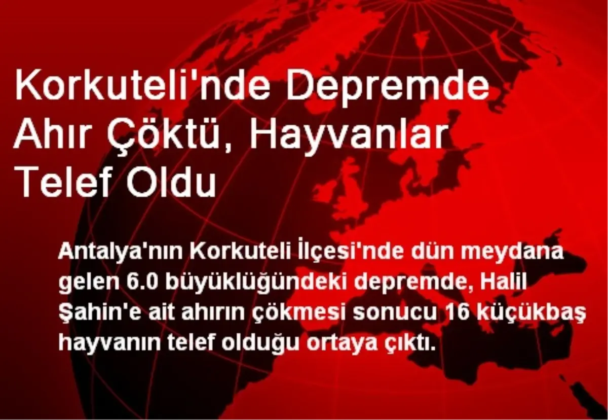 Korkuteli\'nde Depremde Ahır Çöktü, Hayvanlar Telef Oldu