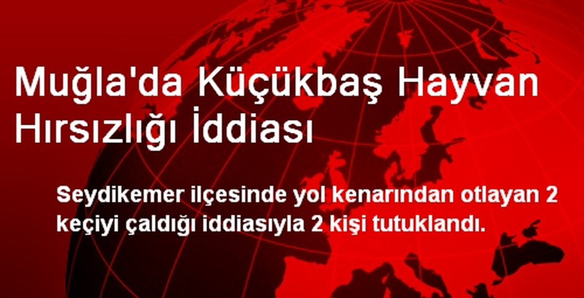Muğla\'da Küçükbaş Hayvan Hırsızlığı İddiası