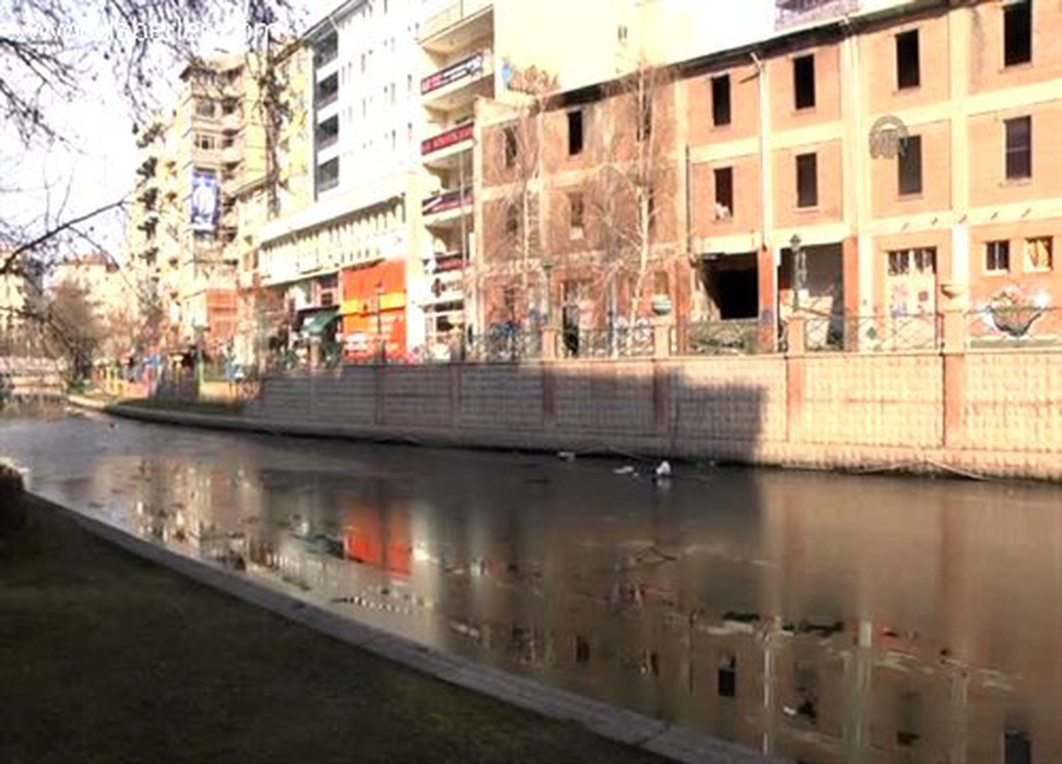 Porsuk Çayı\'nda kirlilik iddiası -