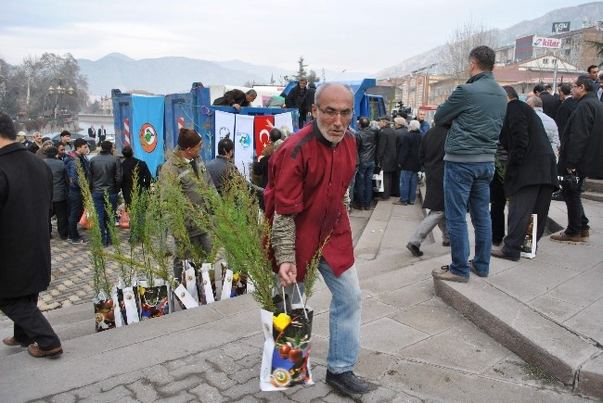 Amasya\'da Fidan İzdihamı