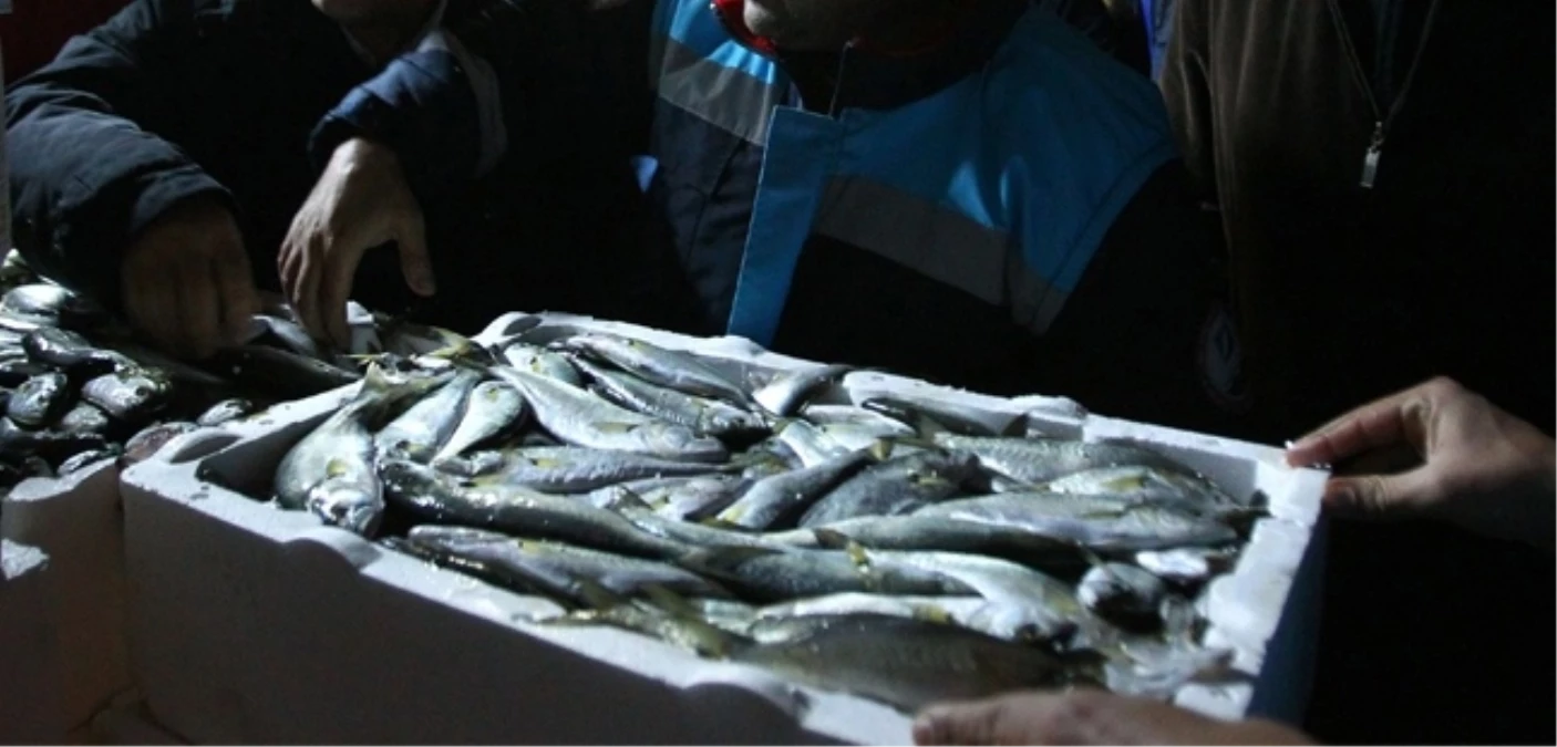 Başkent\'te Tebliğe Uygun Olmayan Balık Satışına Geçit Yok