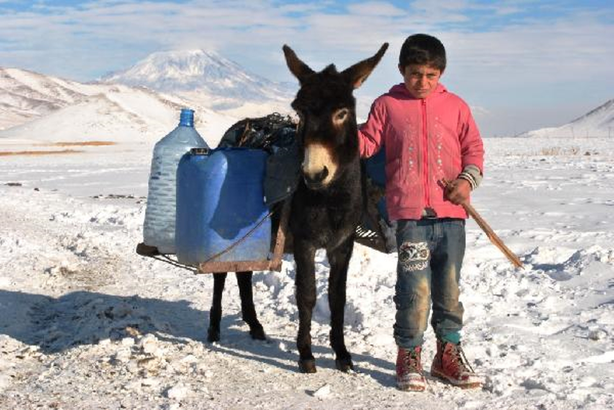 Dondurucu Soğukta Eşeklerle Su Taşıyorlar