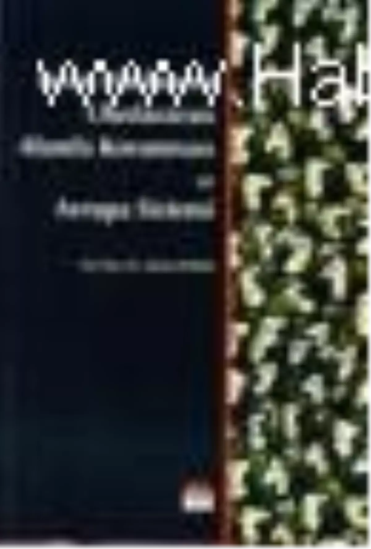 İnsan Haklarının Uluslararası Alanda Korunması ve Avrupa Sistemi Kitabı