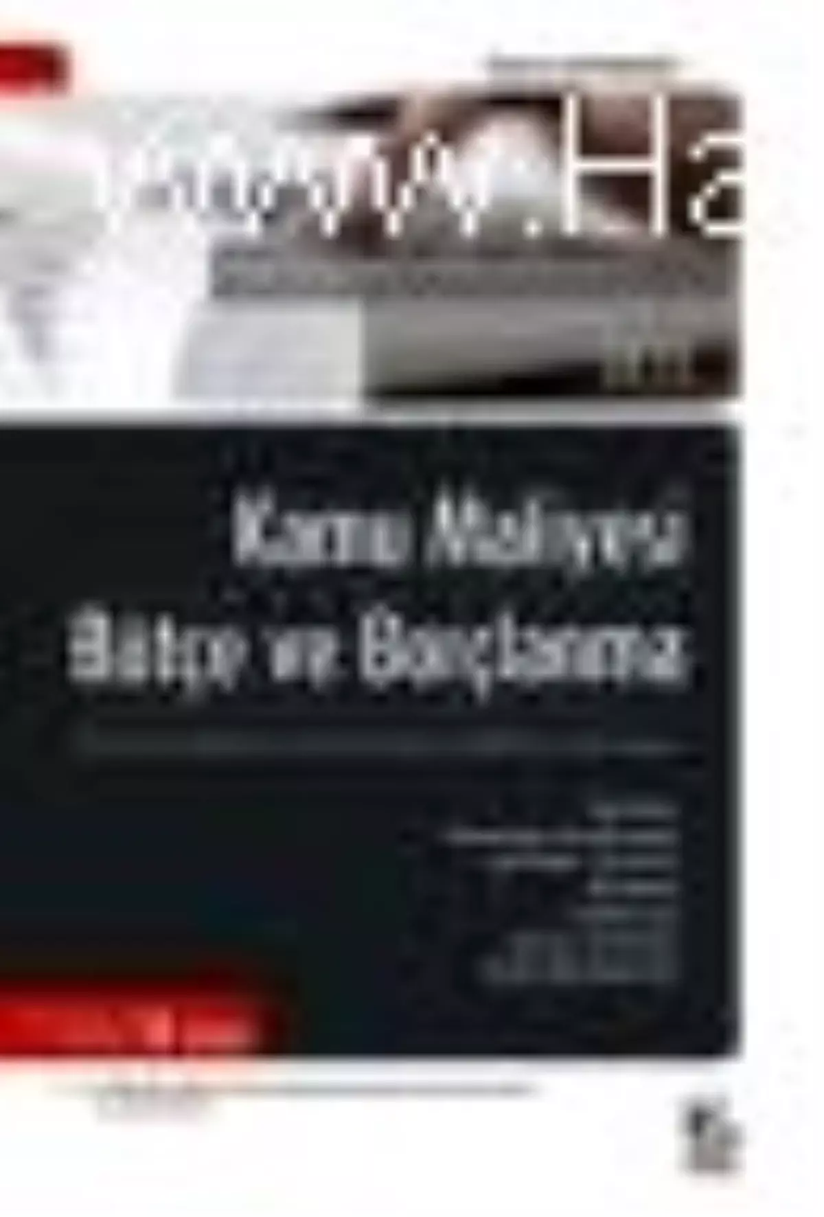 Kamu Maliyesi Bütçe ve Borçlanma Kitabı