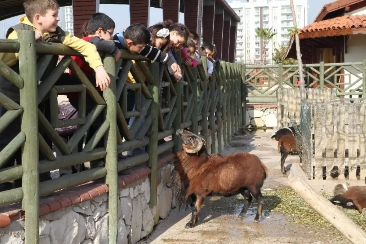 Karşıyakalı Miniklere En Güzel Yeni Yıl Hediyesi