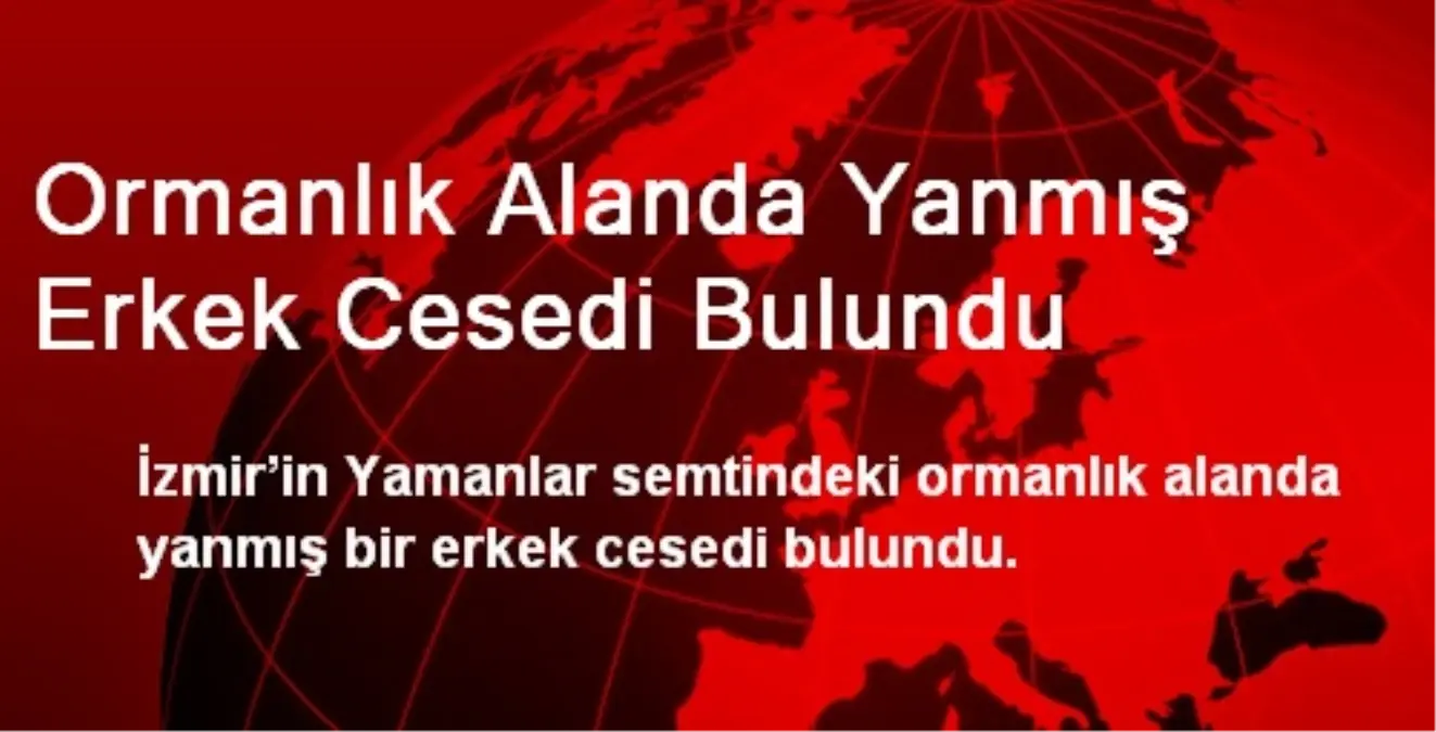 Ormanlık Alanda Yanmış Erkek Cesedi Bulundu