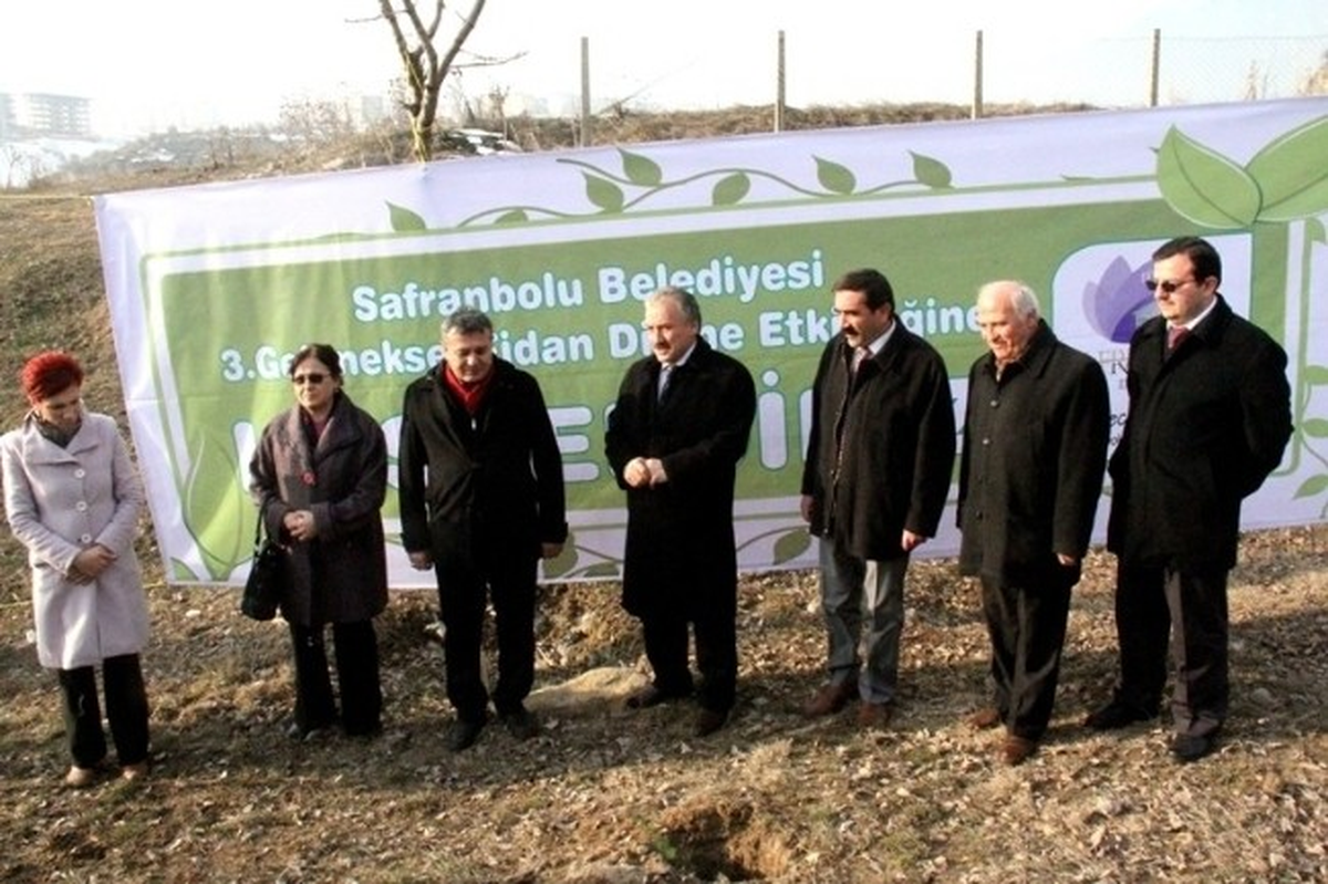 Safrnabolu Belediyesinden Fidan Dikimi