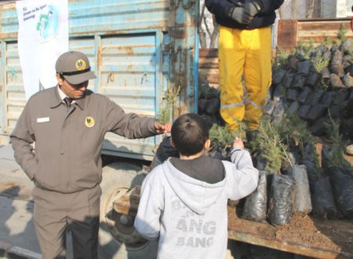 Afyonkarahisar\'da Yılbaşı Öncesinde 20 Bin Çam Fidanı Dağıtıldı
