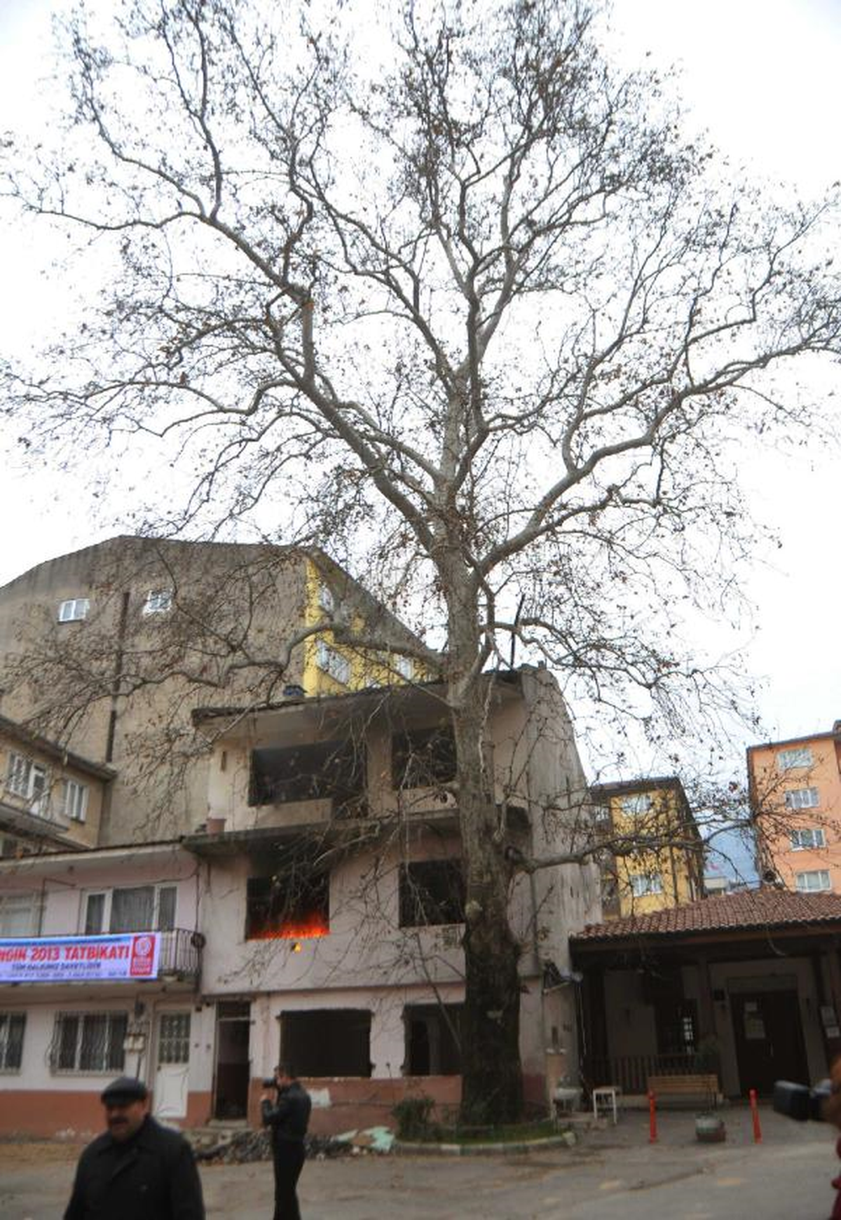 Anıt Ağacın Arkasında Yangın Tatbikatı