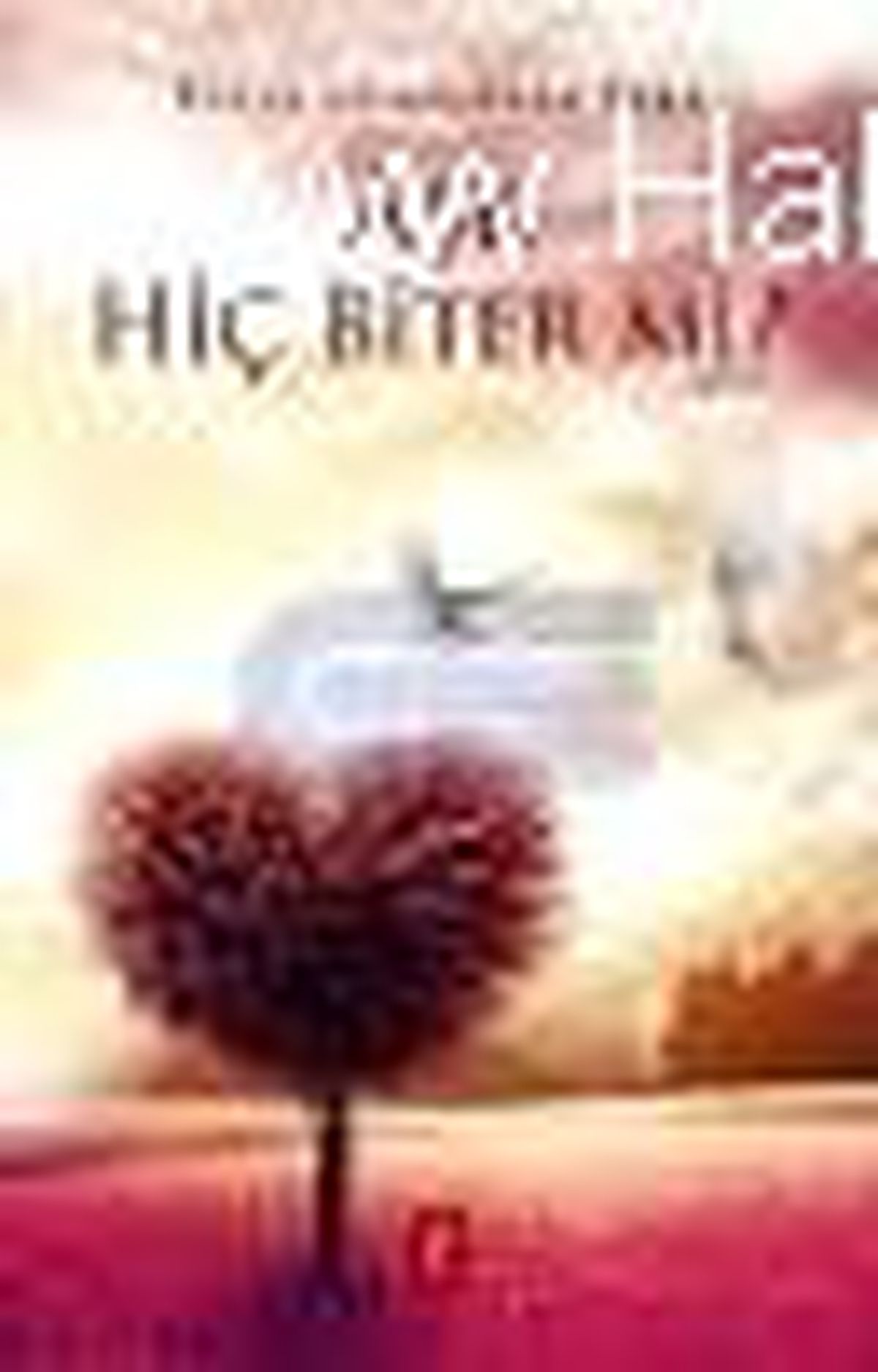 Aşk Hiç Biter Mi? Kitabı