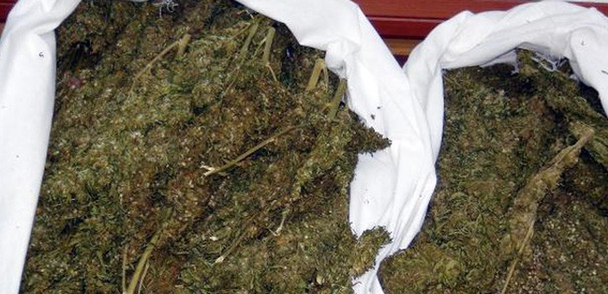 Bolu\'da, 2013\'te 393 Kilogram Esrar Ele Geçirildi