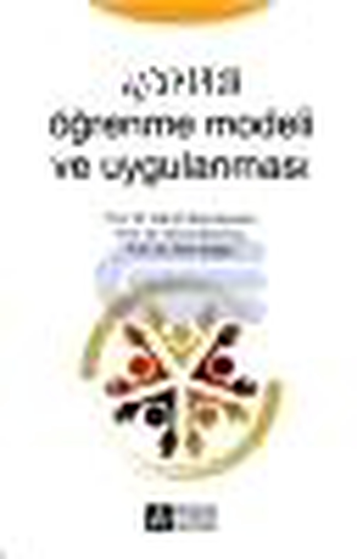 İşbirlikli Öğrenme Modeli ve Uygulanması Kitabı