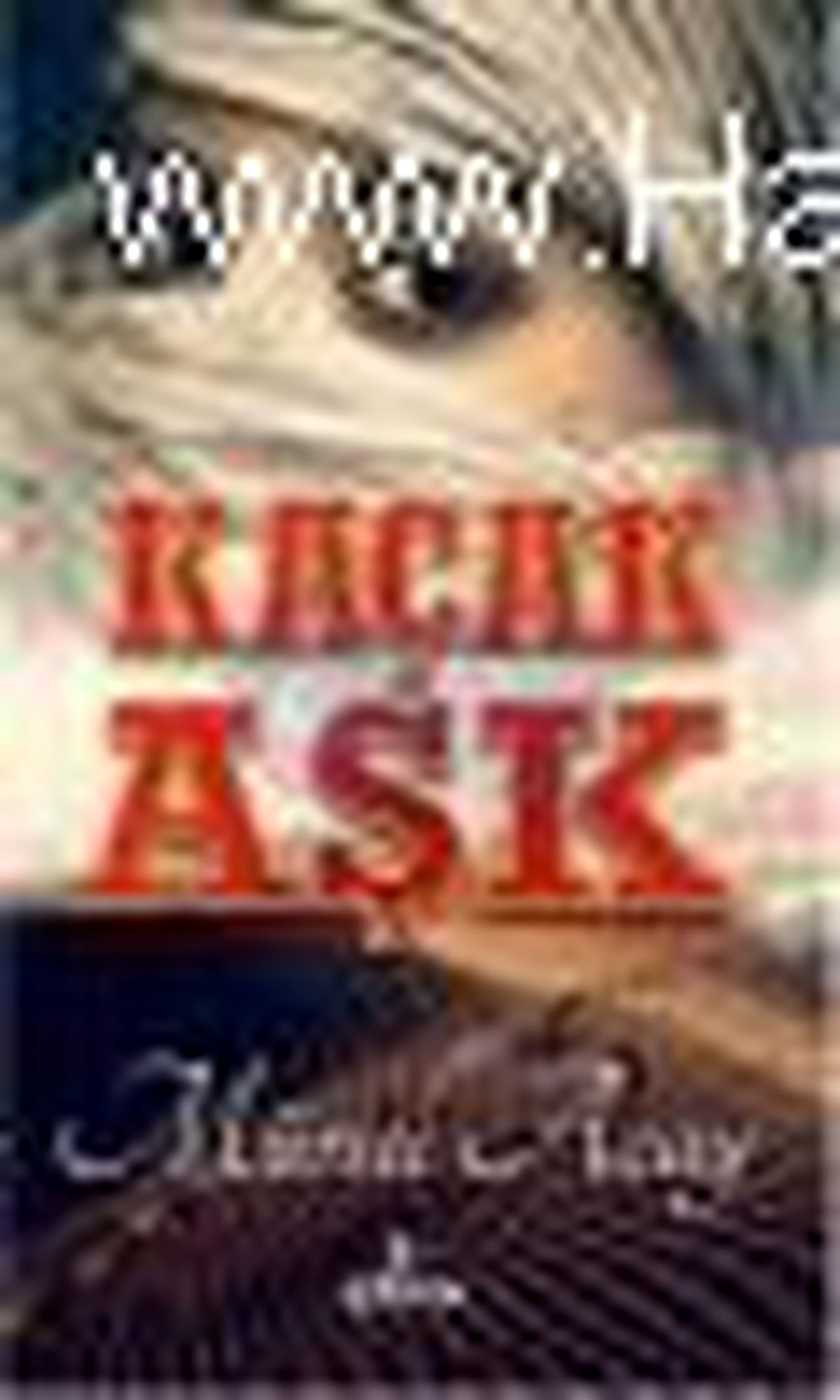 Kaçak Aşk Kitabı