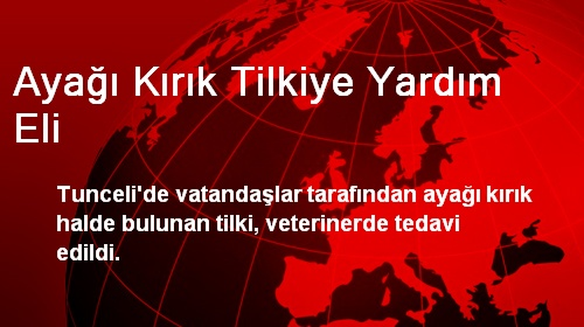 Ayağı Kırık Tilkiye Yardım Eli