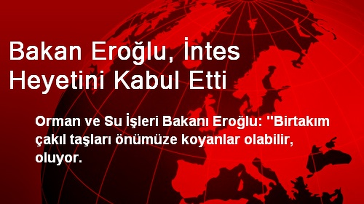 Bakan Eroğlu, İntes Heyetini Kabul Etti