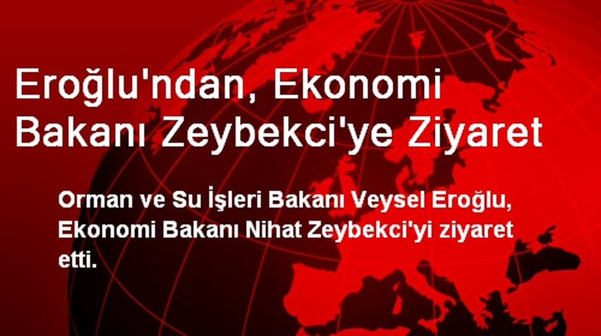 Eroğlu\'ndan, Ekonomi Bakanı Zeybekci\'ye Ziyaret