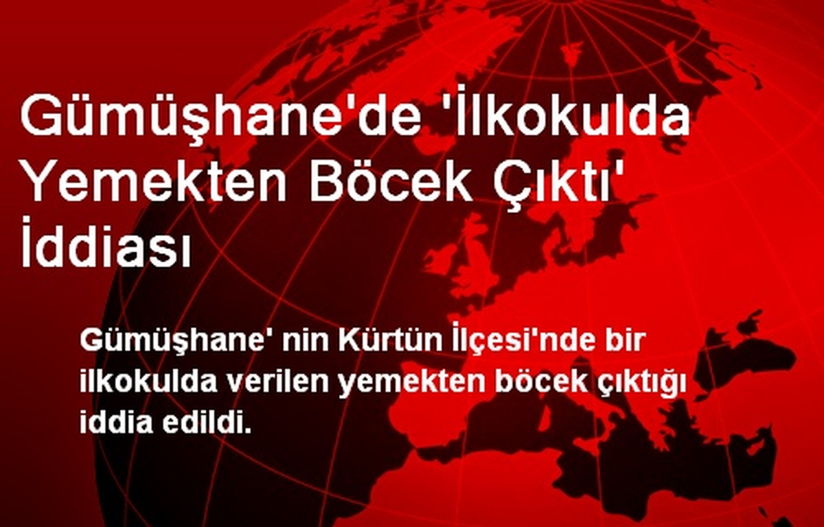 Gümüşhane\'de \'İlkokulda Yemekten Böcek Çıktı\' İddiası