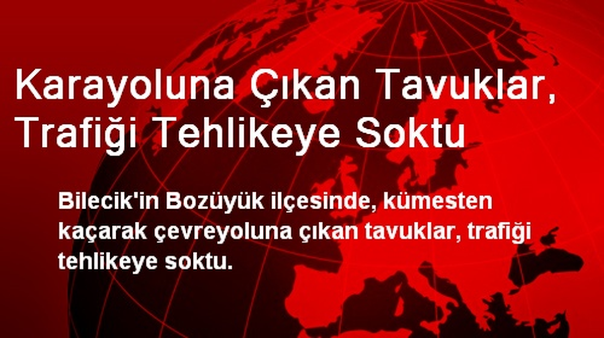 Karayoluna Çıkan Tavuklar, Trafiği Tehlikeye Soktu