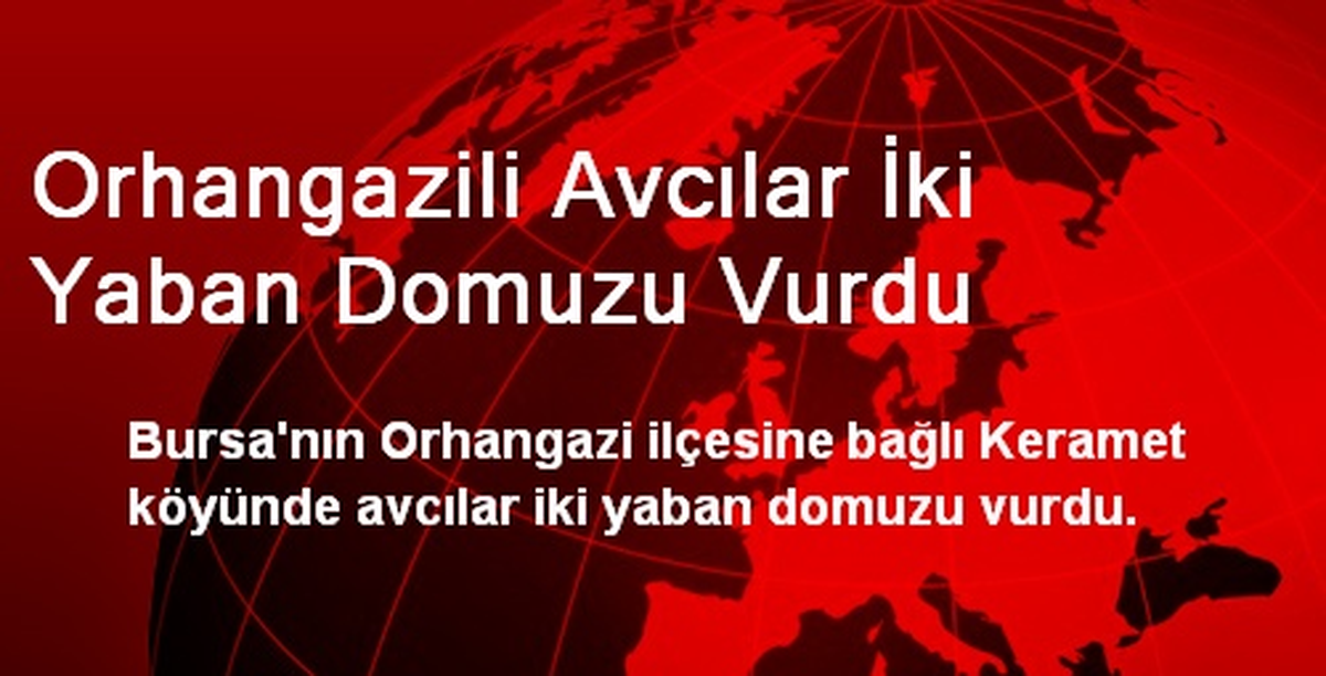 Orhangazili Avcılar İki Yaban Domuzu Vurdu