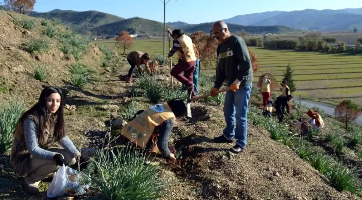 Tema: '2014 Yılına Ağaç Keserek Değil, Fidan Dikerek Girelim.'