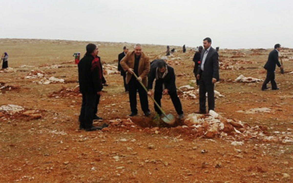 TÜMSİAD Üyeleri Fidan Dikti