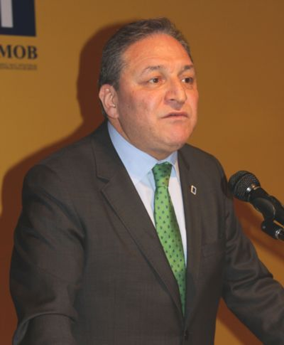 Türmob Genel Başkanı Sanlı Açıklaması