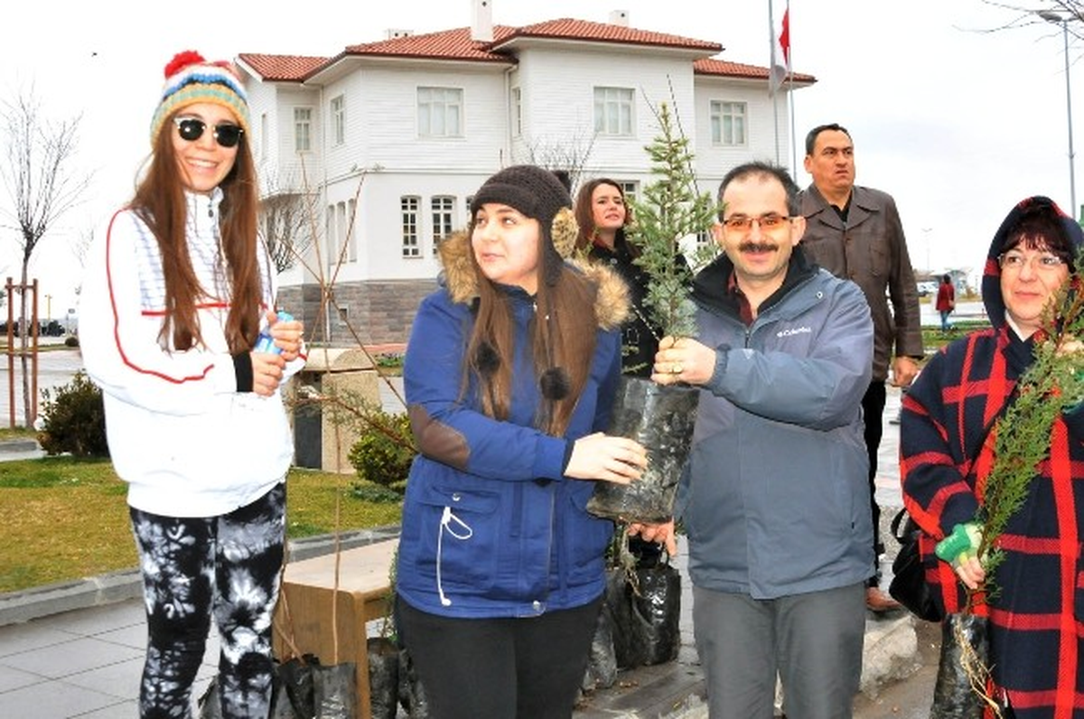 Yalova\'da Yılbaşı Fidanları Kapışıldı