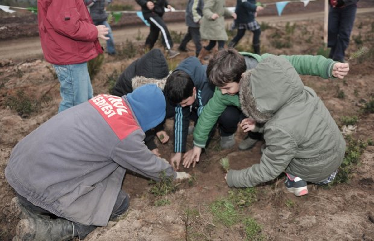Beykozlu Öğrencilerin Fidanları Toprakla Buluştu