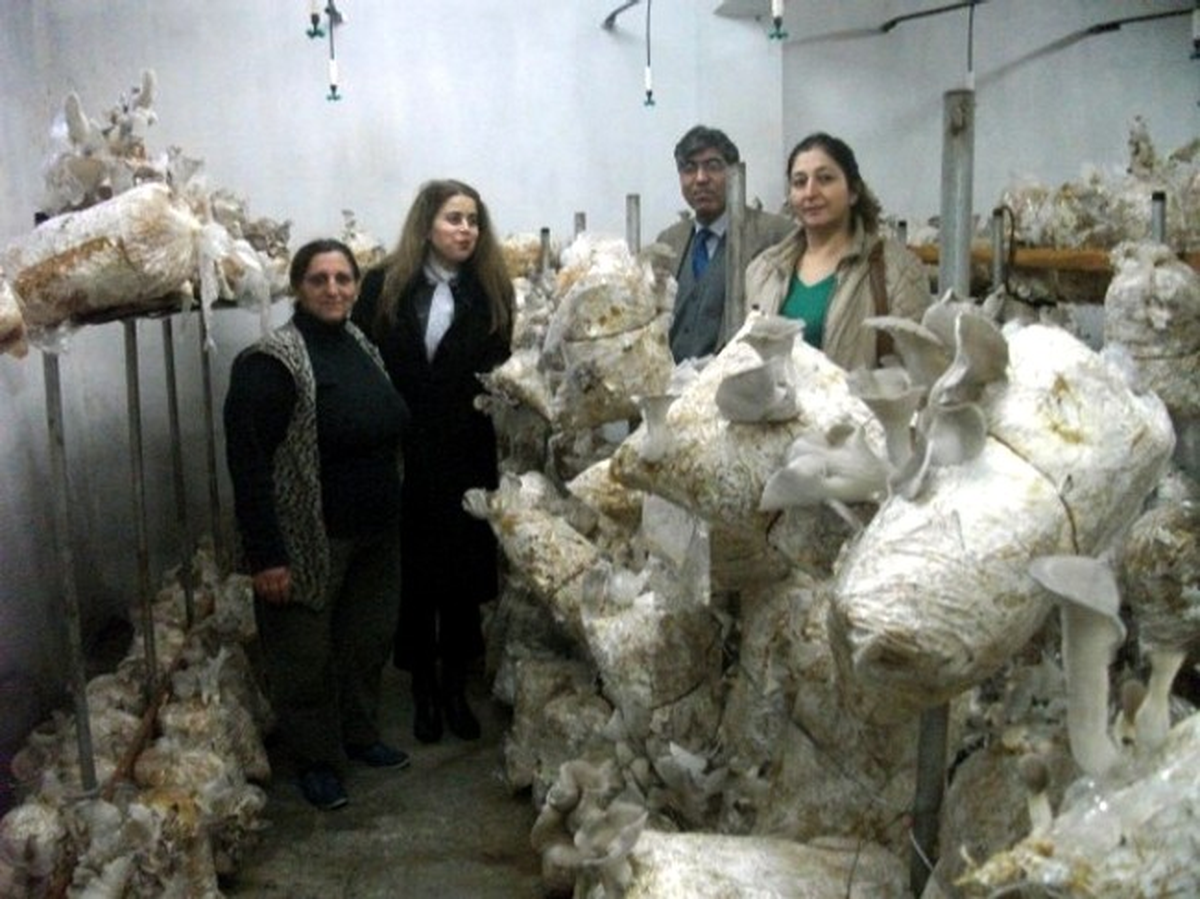 İki Ayda Ürün Aldı