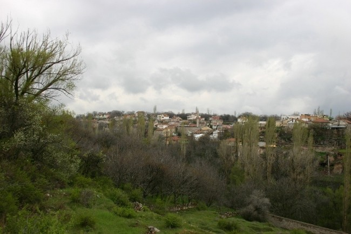 Melikgazi Gesi Bölgesinde Botanik Parkı