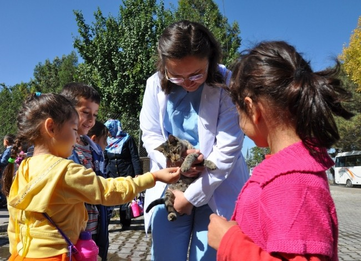 Odunpazarı Belediyesi 2 Bin Sokak Hayvanını Sıcak Yuvaya Kavuşturdu