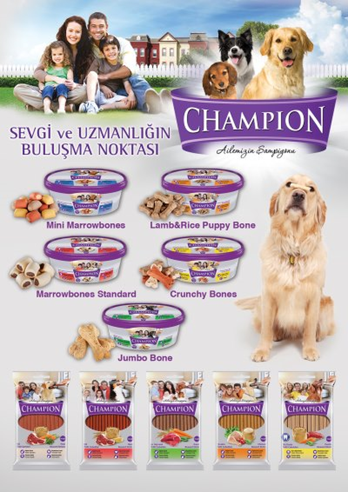 Yeni Yılda Köpeğinizi Ödüllendirmeyi Unutmayın