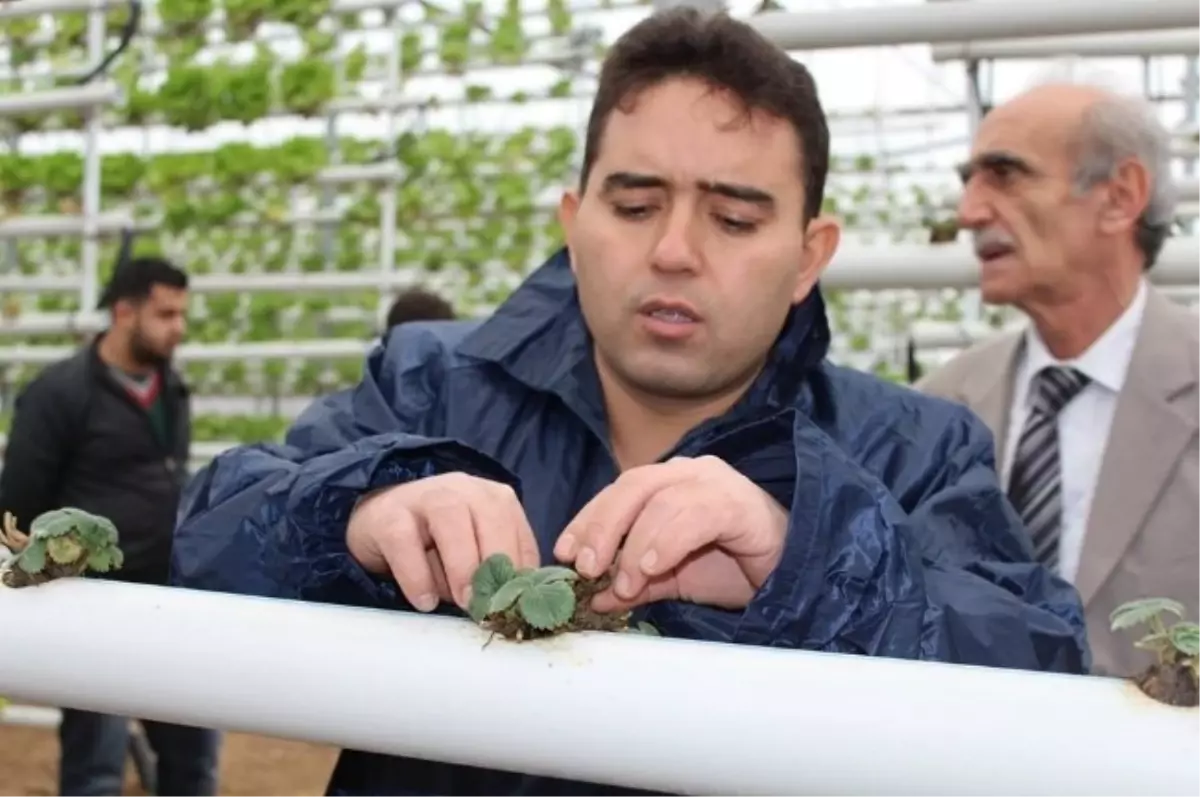 Altınova Kaymakamı Nurullah Kaya Açıklaması