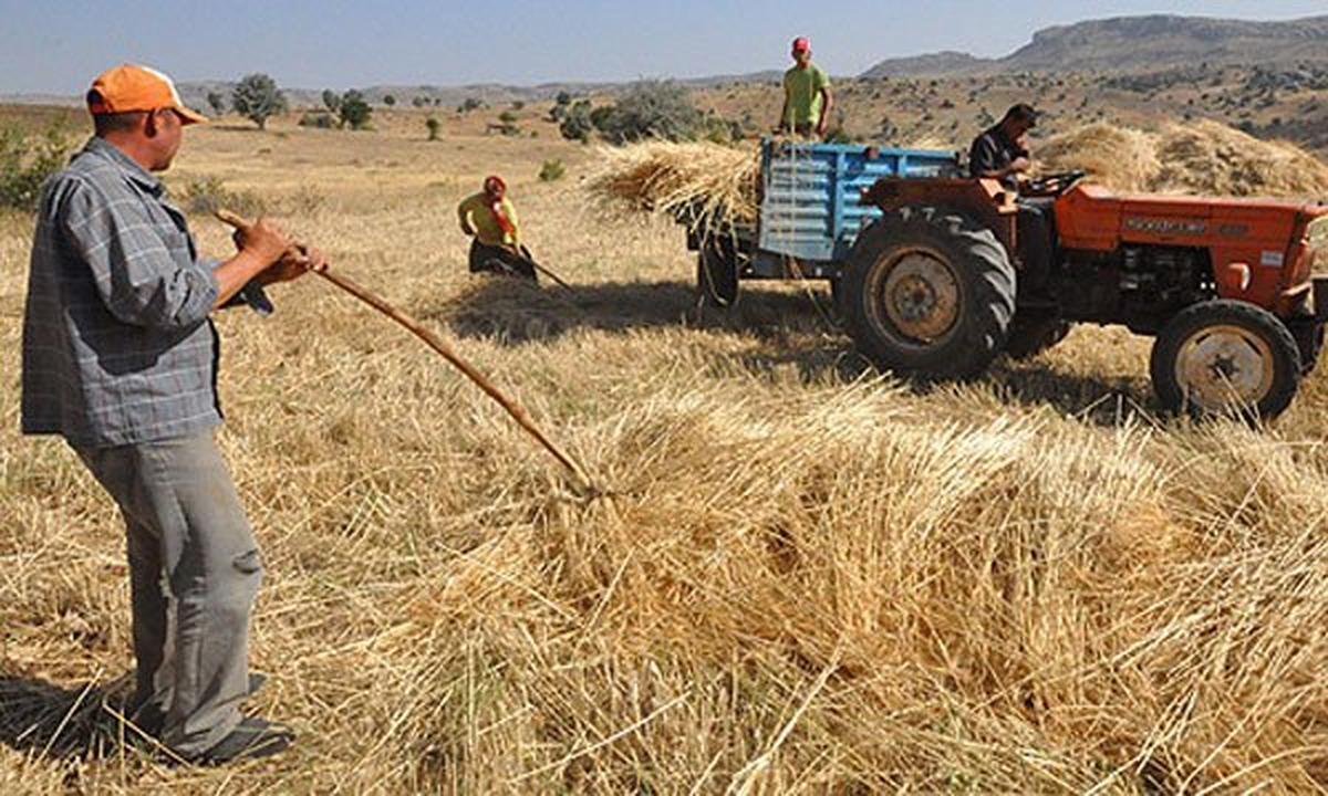 Destekleme Ödemelerinin İlk Taksiti Ödendi