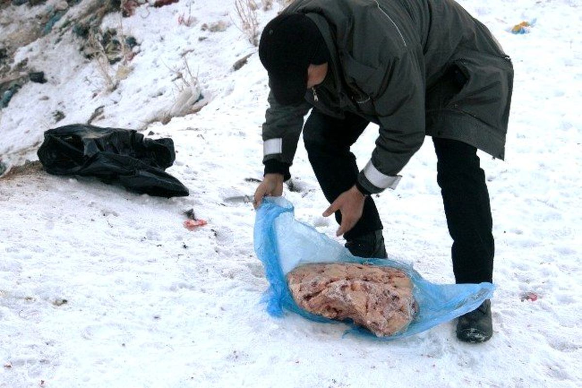 Doğaya Yem Bırakıldı