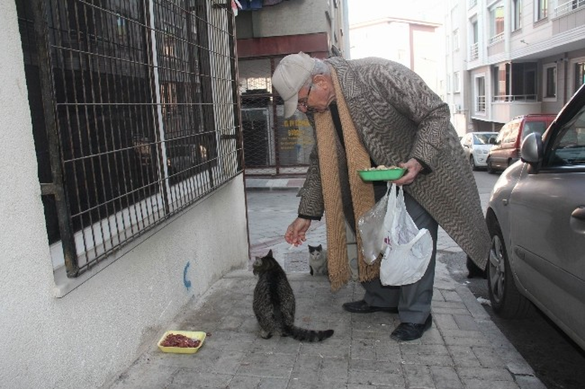 Samsun\'da Emekli Öğretmenin Kedi Sevgisi