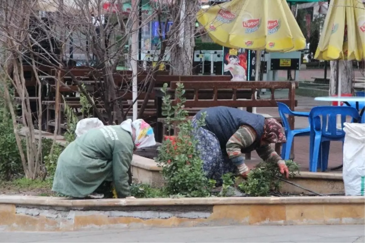 Belediyenin Bayan Temizlikçileri